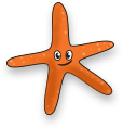 starfish