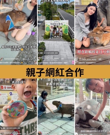 親子網紅合作